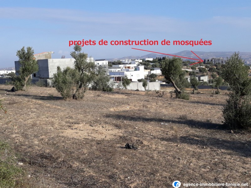 images_immo/tunis_immobilier2012111 (6).jpg